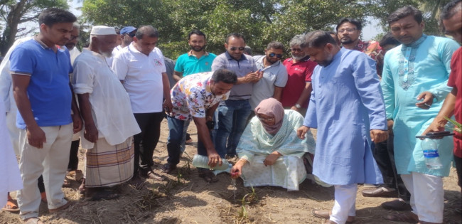 কুষ্টিয়ায় ইক্ষু রোপণ কার্যক্রমের উদ্বোধন, সুগার মিল চালুর দাবিতে নতুন আশার সঞ্চার