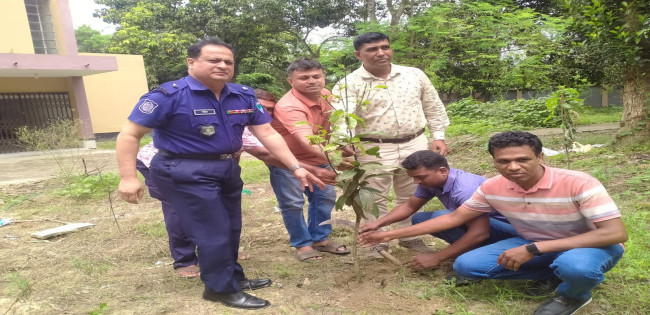 মিরপুর থানার ওসির বৃক্ষরোপন অভিযান